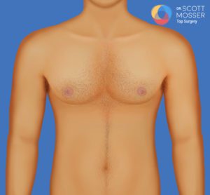 What's The Difference Between Nipples And Areolas?